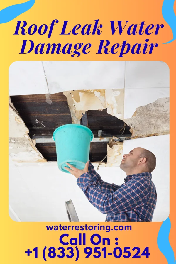 Roof Leak Water Damage Repair in Des Moines, IA