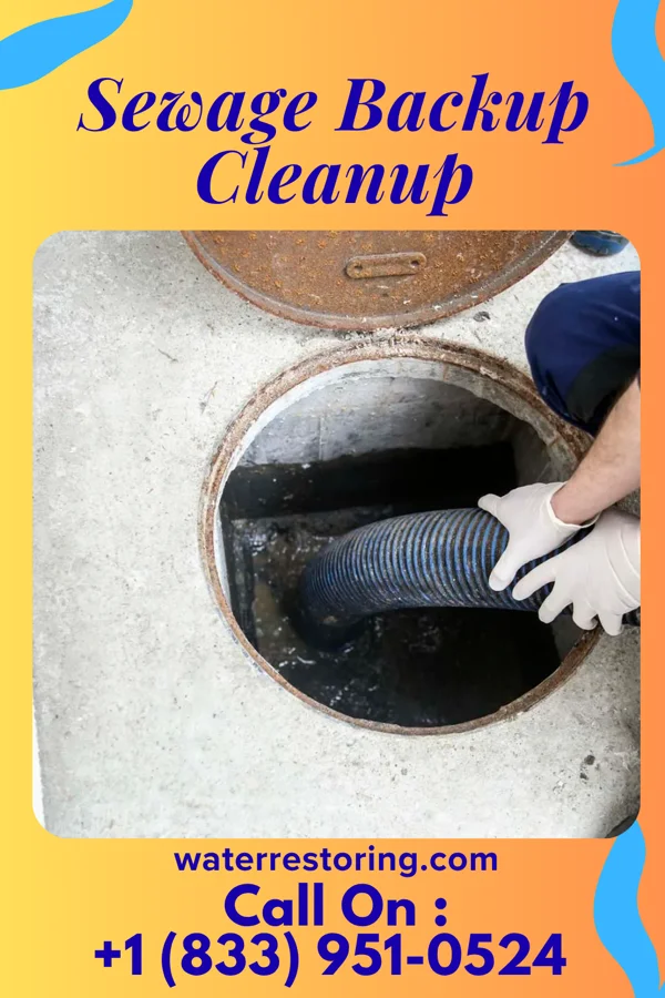Sewage Backup Cleanup in Des Moines, IA
